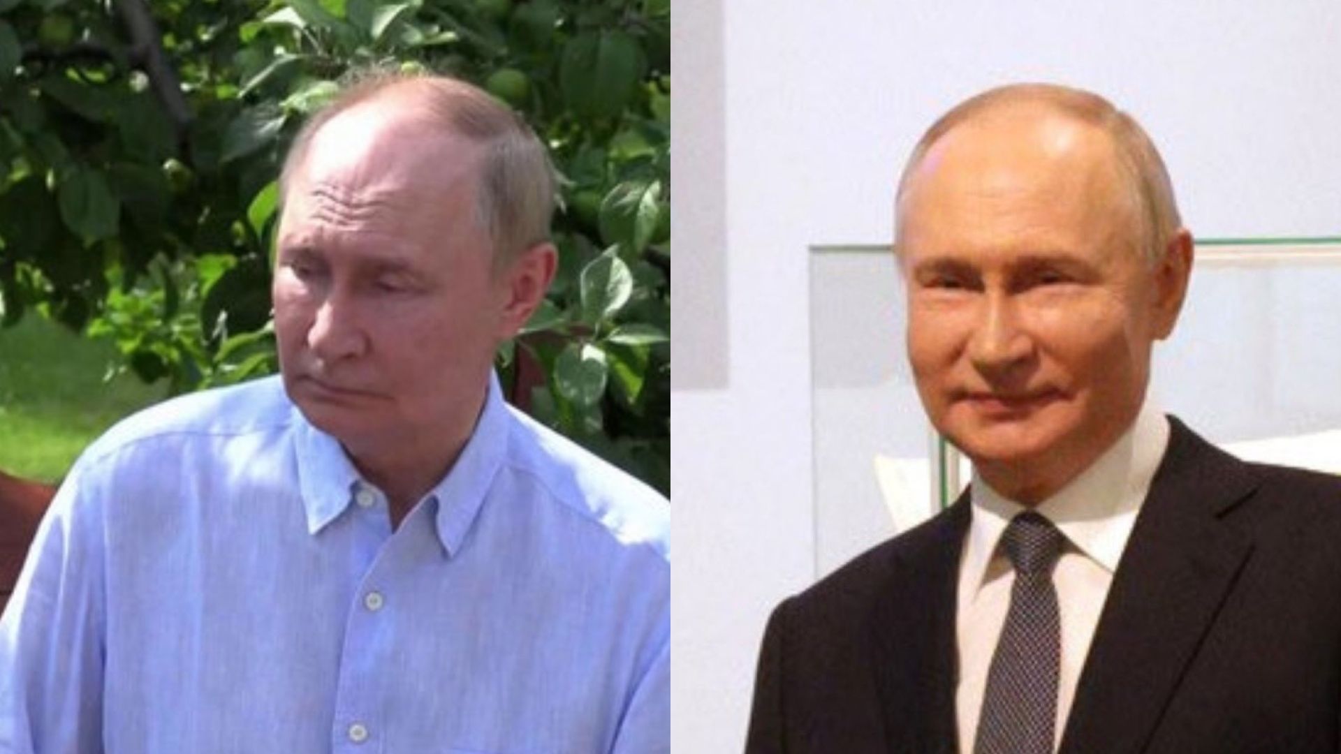 Путин на встречах с Лукашенко и Виткоффом dqxikeidqxiqqeant