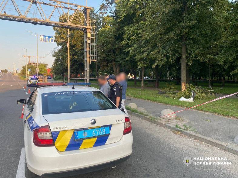 У Києві п’яний водій легковика влетів у Куренівський парк та травмував двох жінок. Подробиці та фото