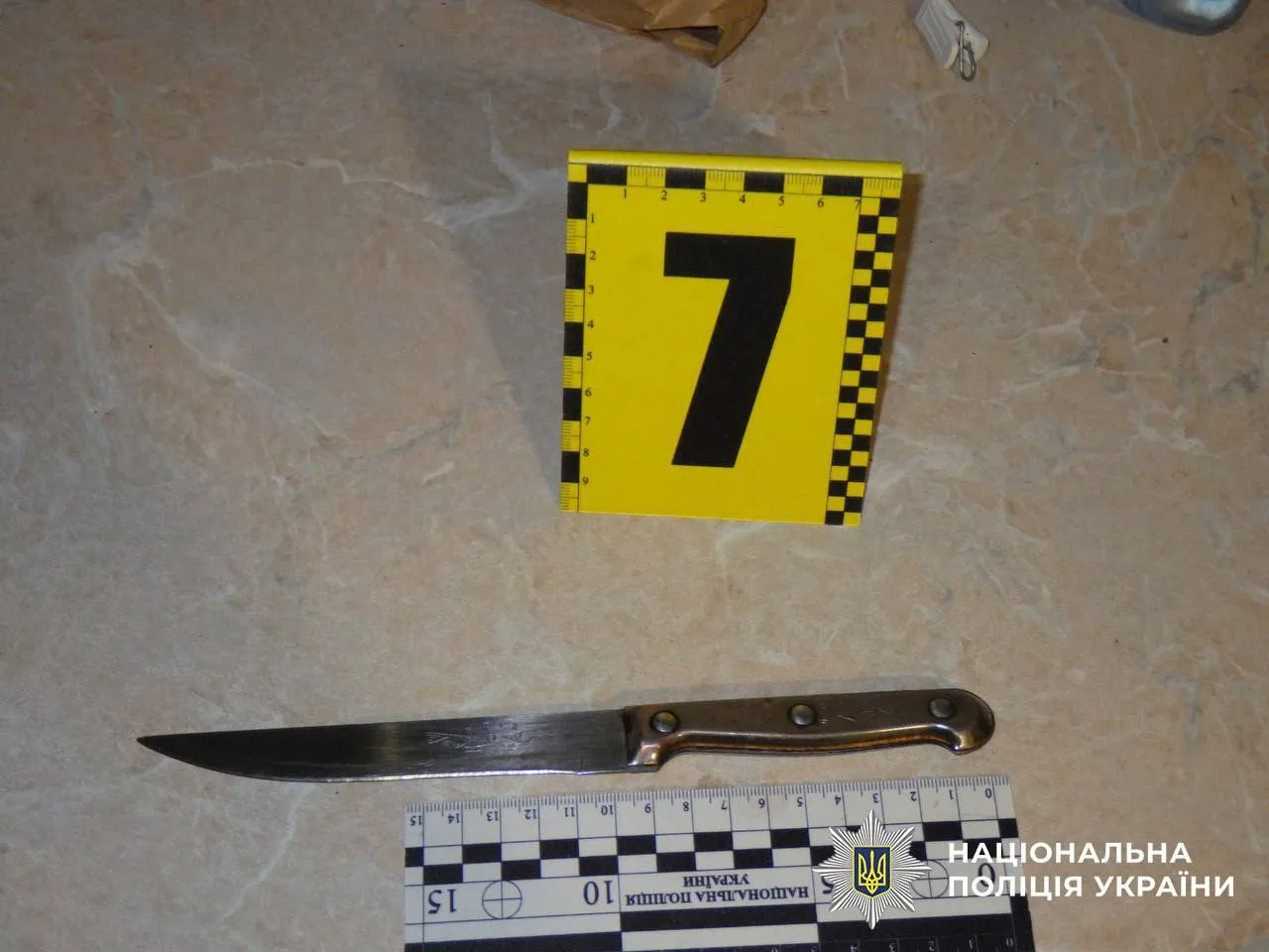 В Киеве семейная ссора завершилась жестоким убийством. Подробности дела и фото dqxikeidqxiqqeant