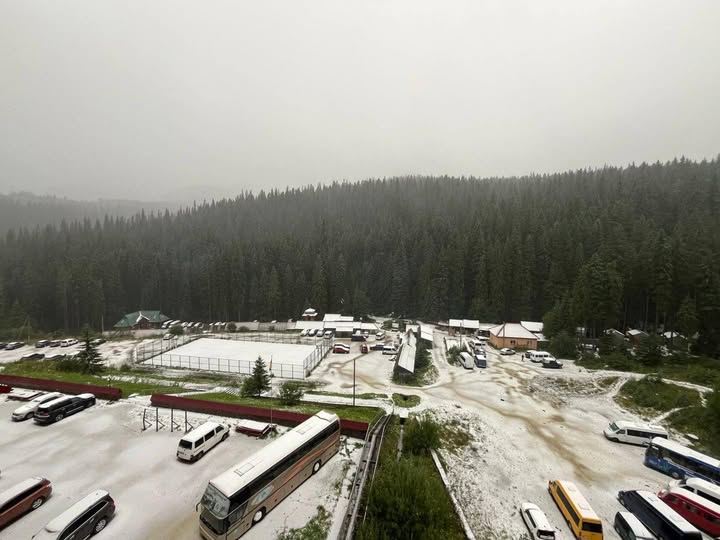     :    dqxikeidqxitkant