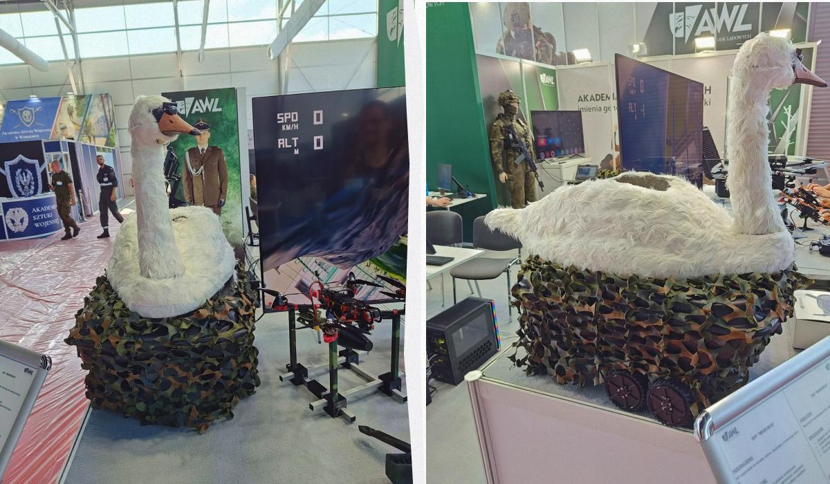 Польша создала dqxikeidqxitkant