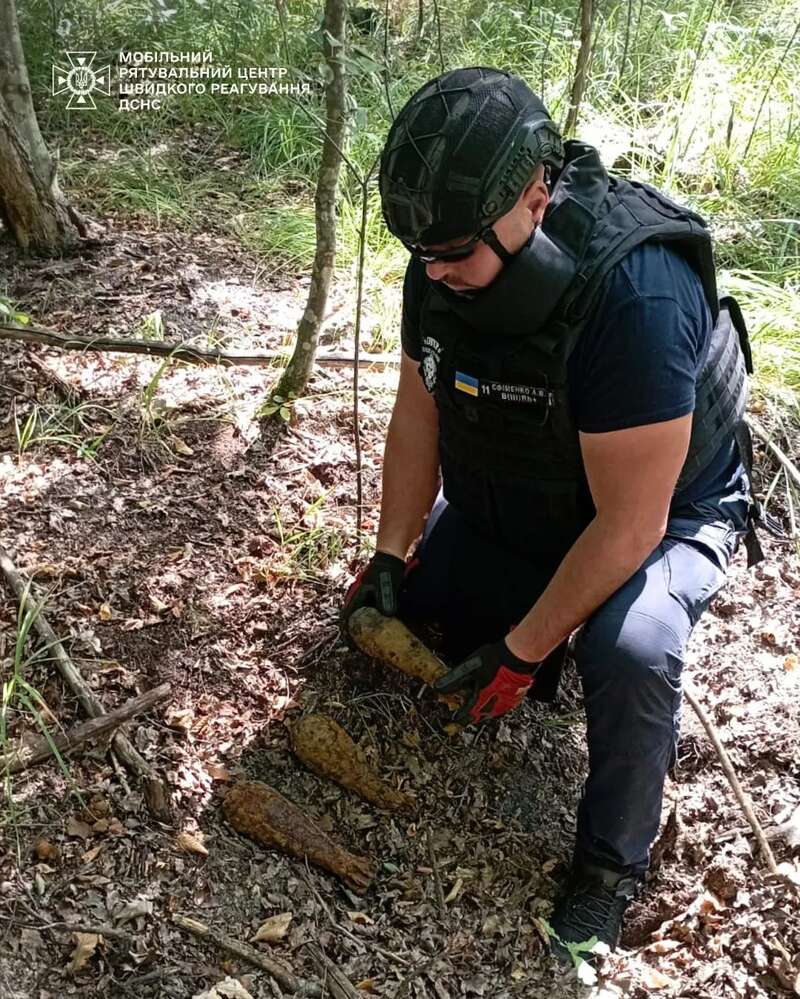 На Киевщине мужчина в лесу вместо грибов нашёл мины. Подробности и фото