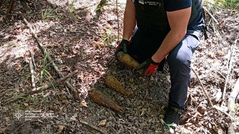 На Киевщине мужчина в лесу вместо грибов нашёл мины. Подробности и фото