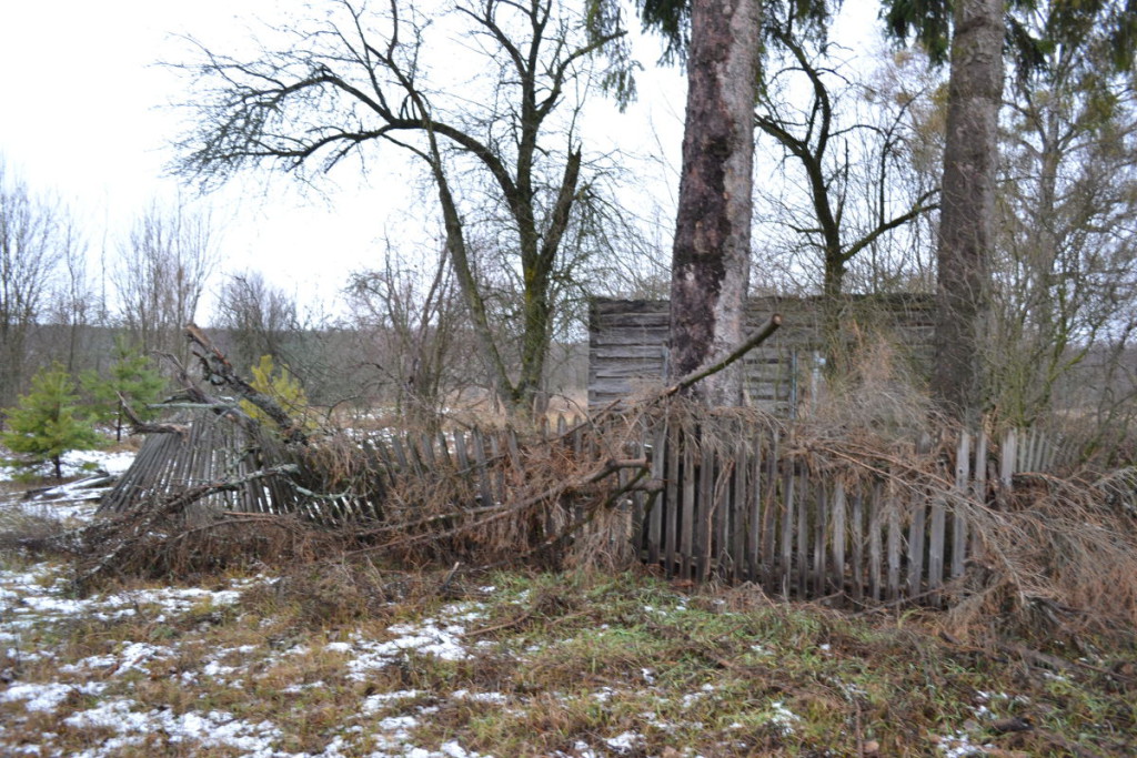 DSC_0186 dqxikeidqxiqqeant