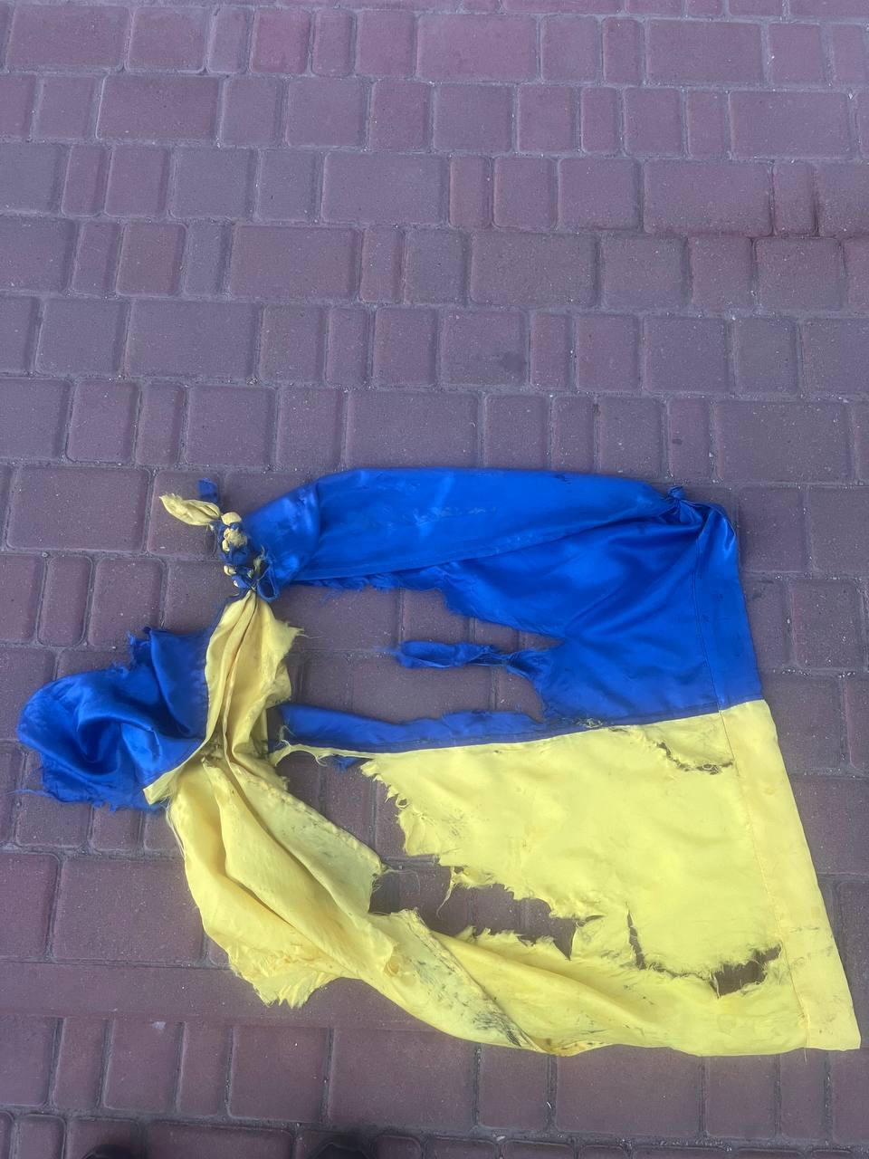         :    dqxikeidqxitkant