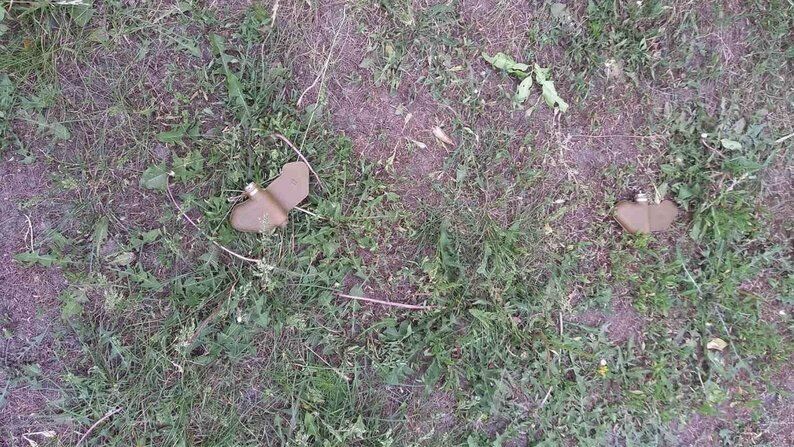 Россия сбросила на жилые кварталы Херсона мины-