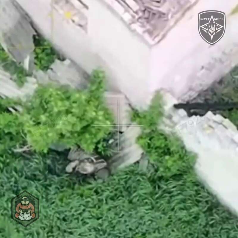 The strike drone of the National Guard destroyed a Russian soldier. Video dqxikeidqxitkant