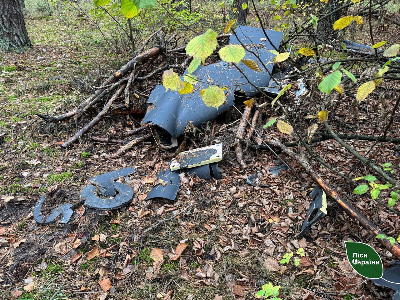 В лесу на Житомирщине после ночной атаки нашли обломки