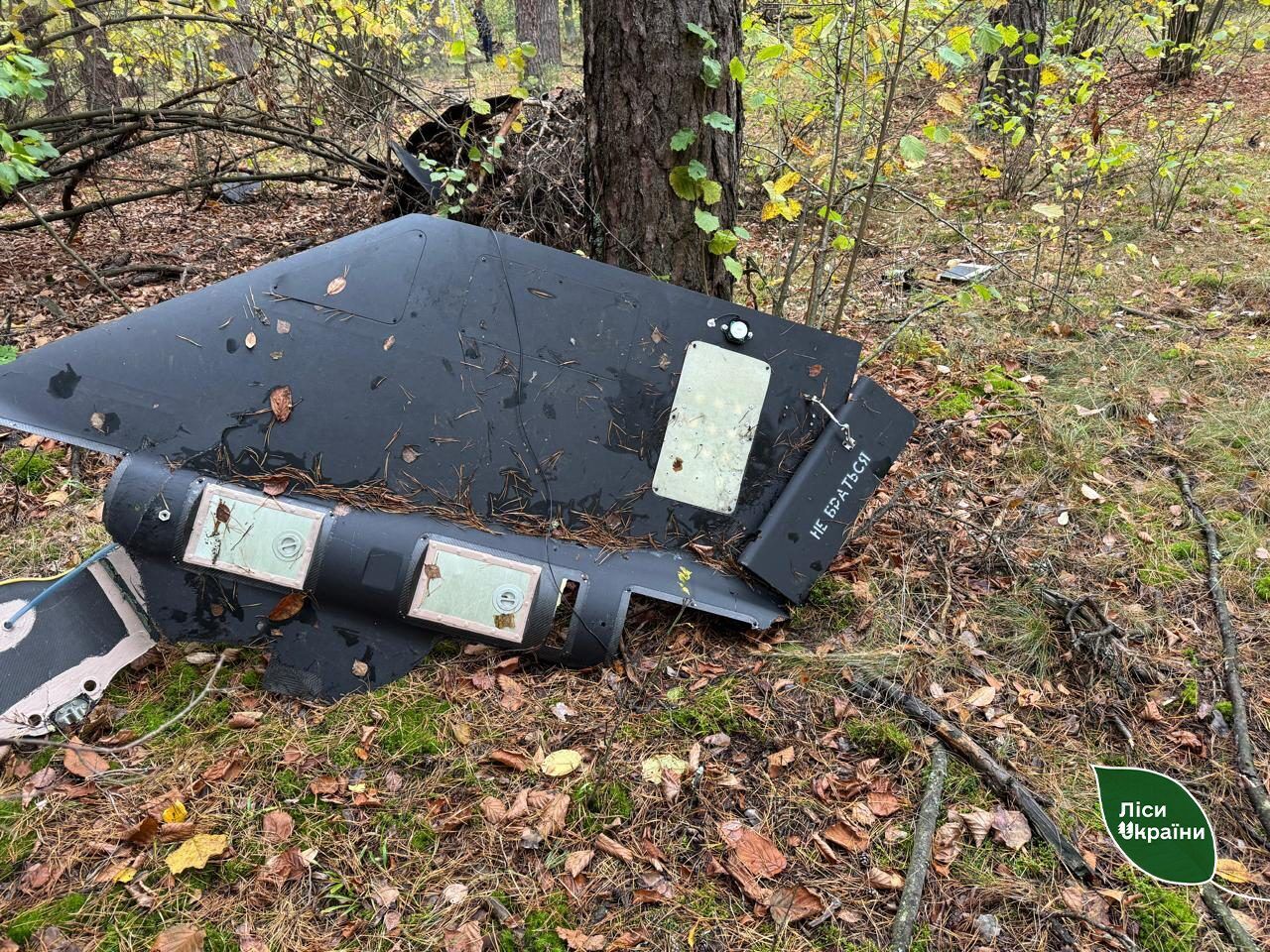 У лісі на Житомирщині після нічної атаки знайшли уламки  dqxikeidqxitkant