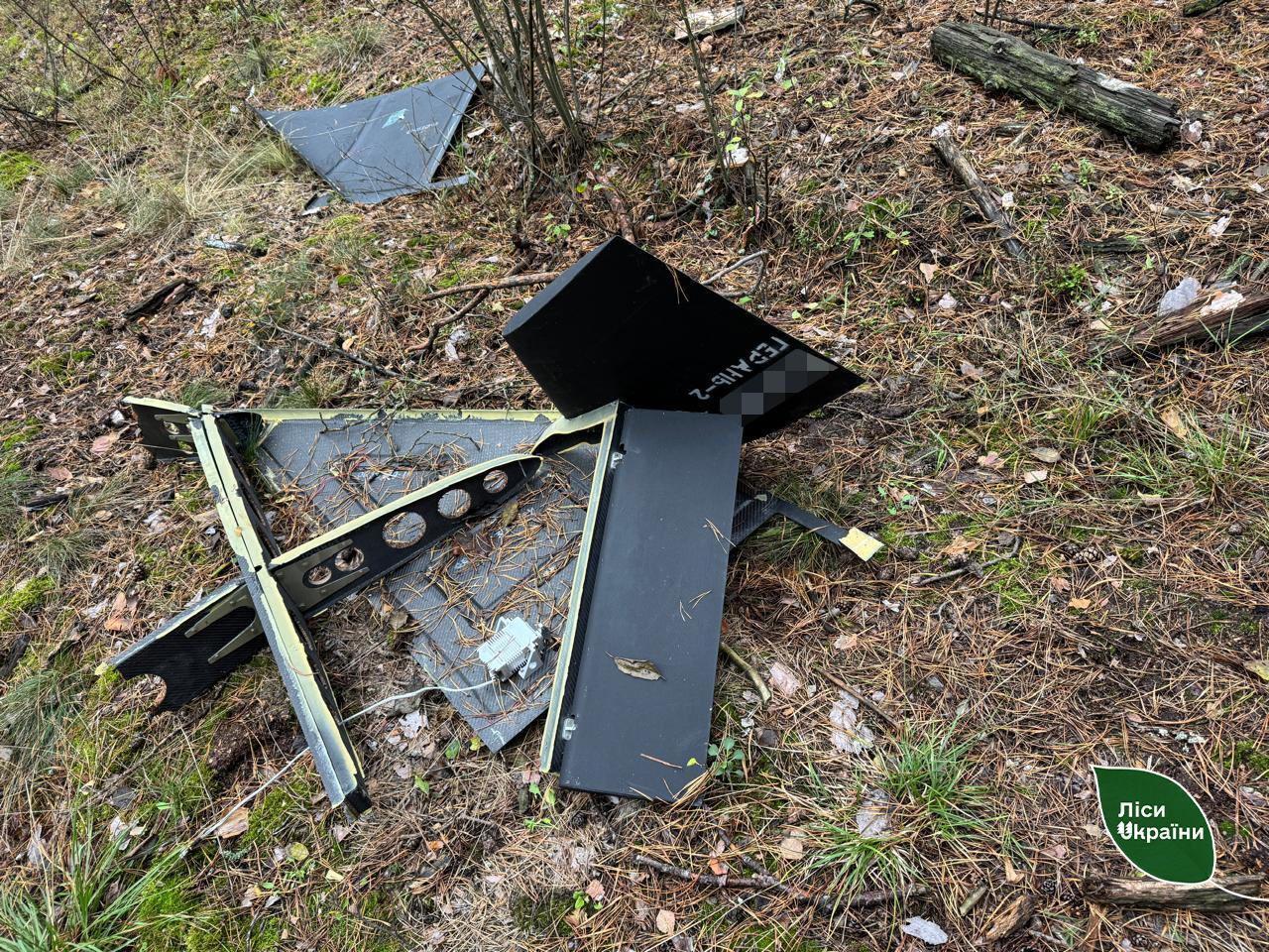 У лісі на Житомирщині після нічної атаки знайшли уламки