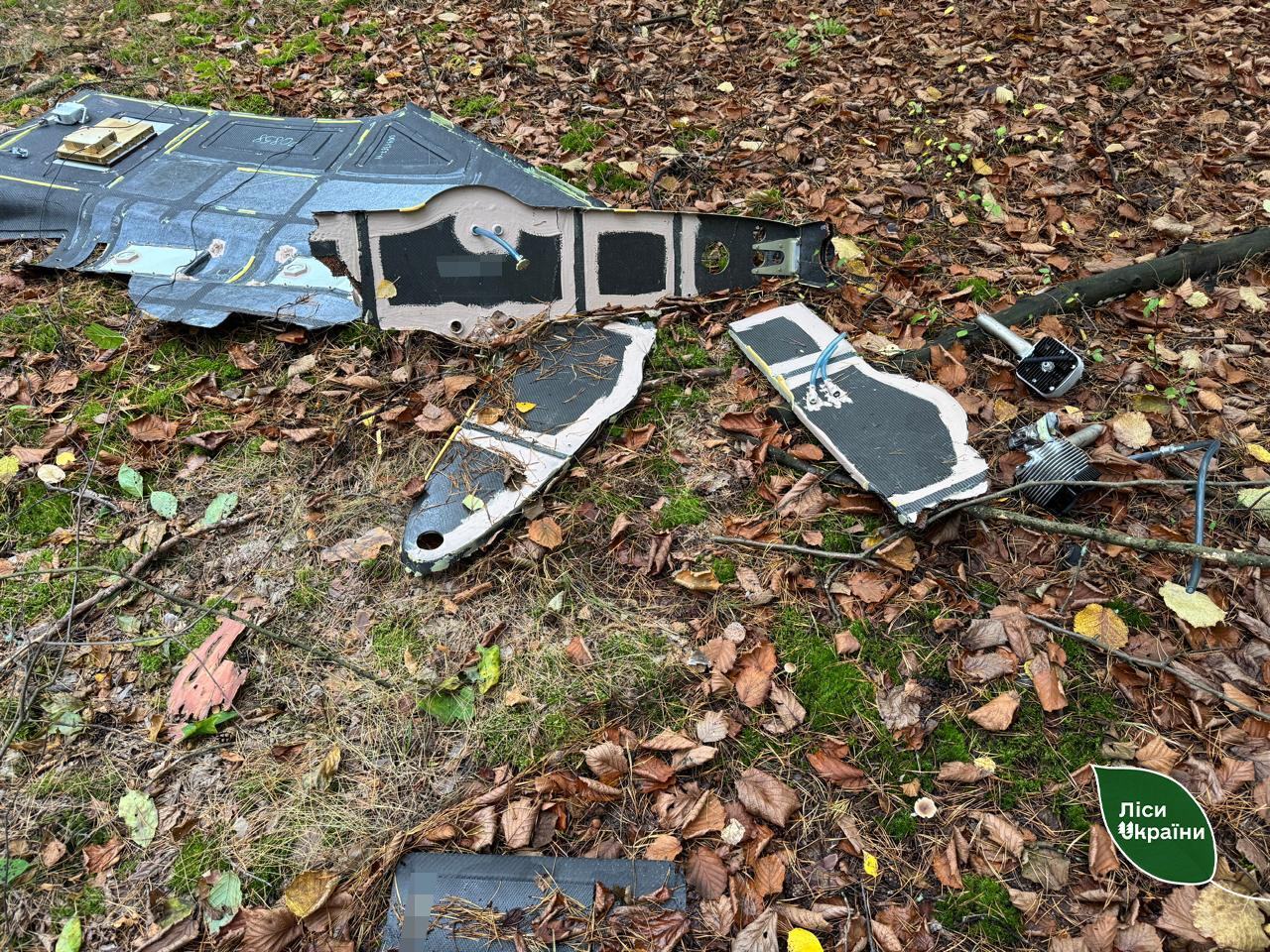 У лісі на Житомирщині після нічної атаки знайшли уламки