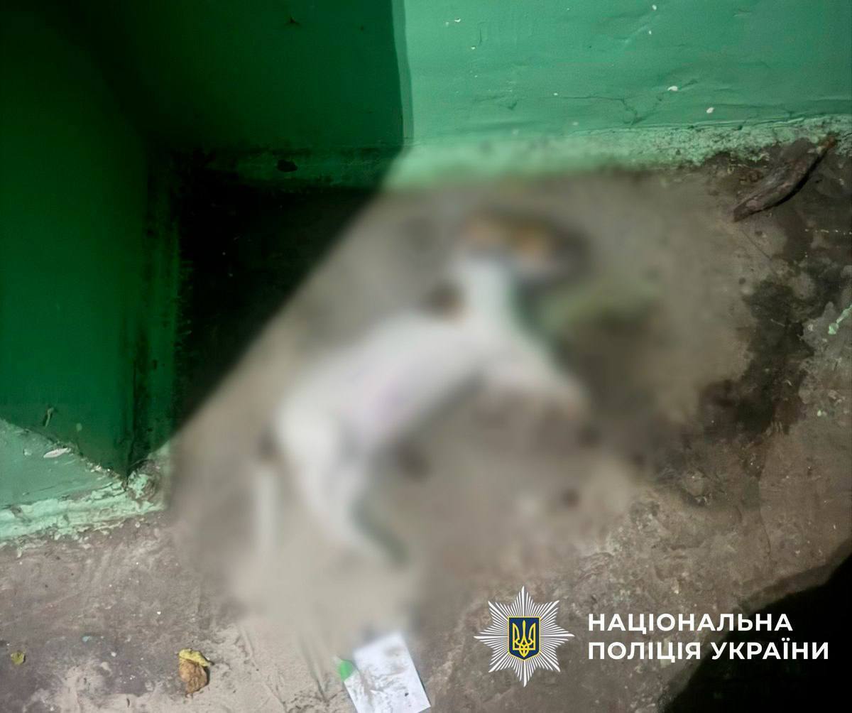 В Киеве женщина выбросила собаку своей подруги с пятого этажа: животное погибло. Подробности и фото