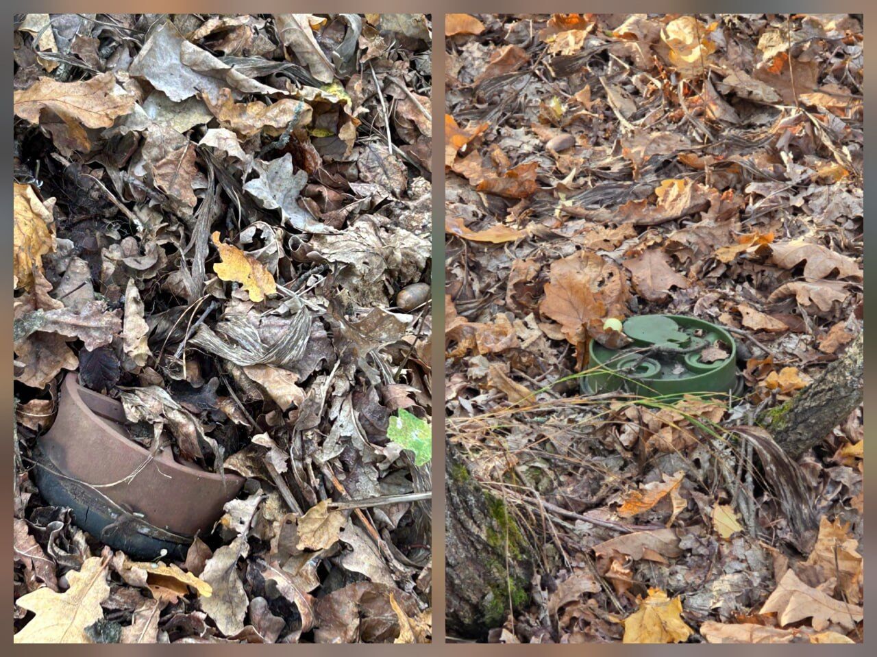        .    dqxikeidqxitkant