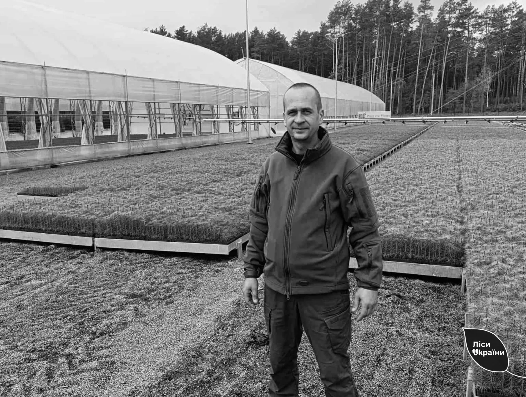   :       -.  dqxikeidqxitkant