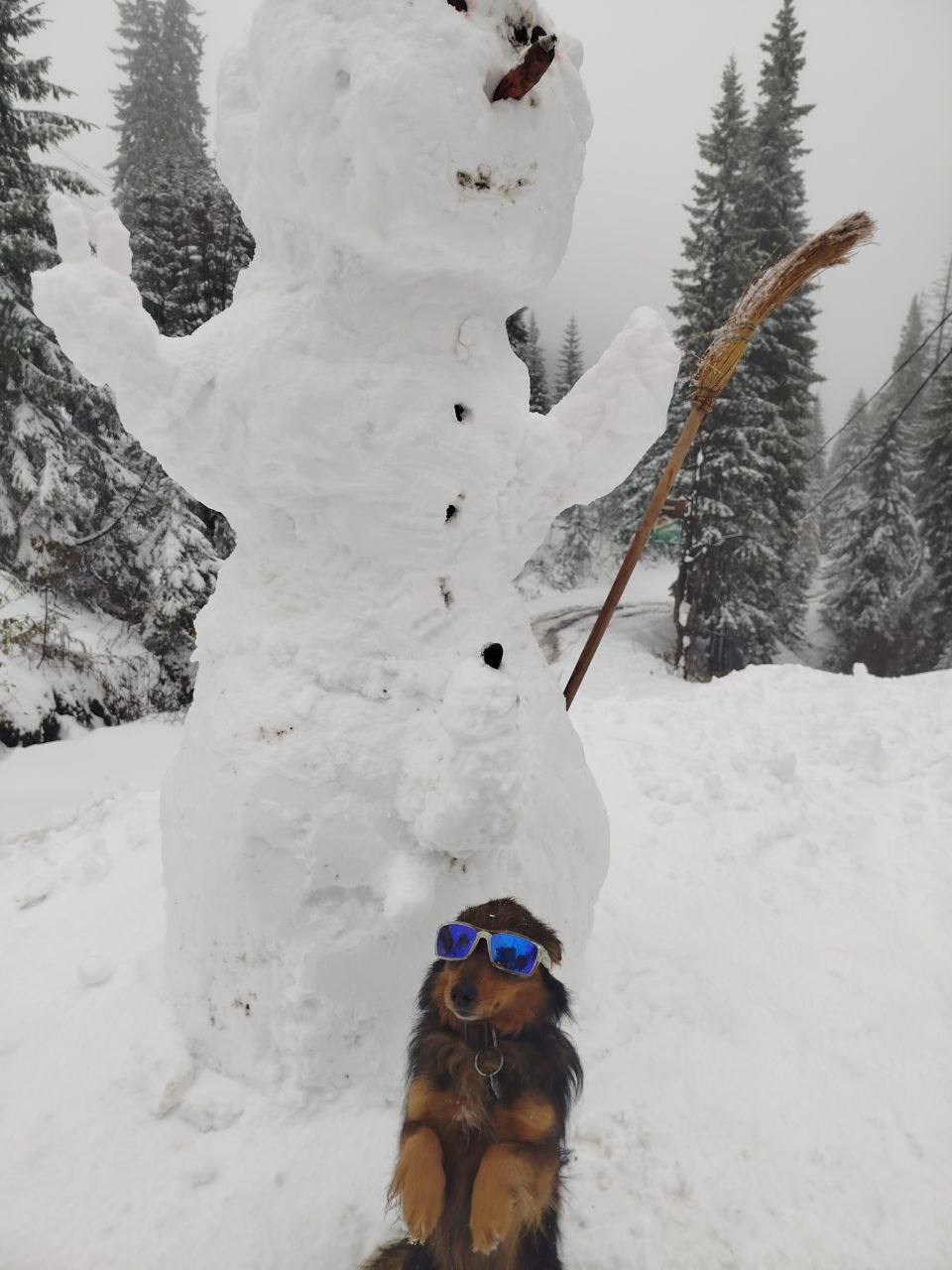 photo 2025 10 28 16 26 25 2 dqxikeidqxiqqeant