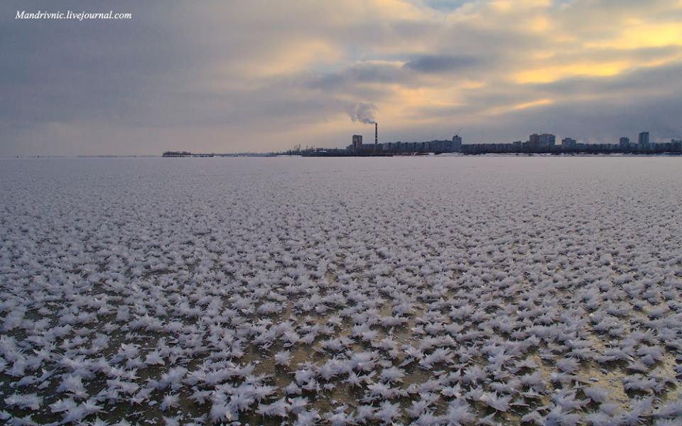 12410531_558380464330976_4176840684138480828_n