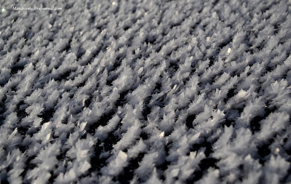 10606390_558380337664322_7159937951241597725_n dqxikeidqxitkant