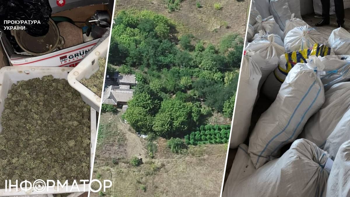 Наркотики прокуратура Київ марихуана dqxikeidqxitkant