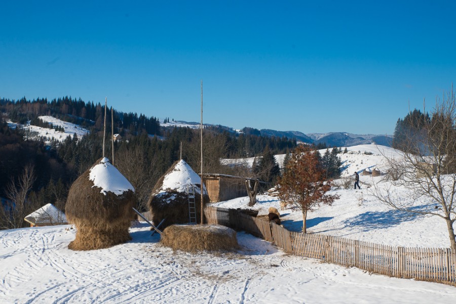 beeline_DDoS_2703 - 02-5 beeline_DDoS_2703 - 02-5 dqxikeidqxitkant