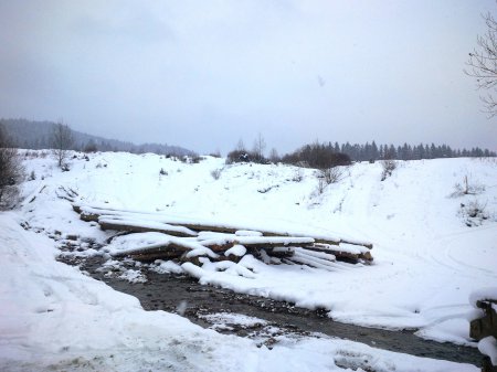 Зацените масштабы. В Воловце лес-кругляк "пакуют" и пилят необьятными масштабами (ФОТО) Зацените масштабы. В Воловце лес-кругляк "пакуют" и пилят необьятными масштабами (ФОТО)