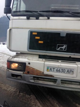 Зацените масштабы. В Воловце лес-кругляк "пакуют" и пилят необьятными масштабами (ФОТО) Зацените масштабы. В Воловце лес-кругляк "пакуют" и пилят необьятными масштабами (ФОТО)