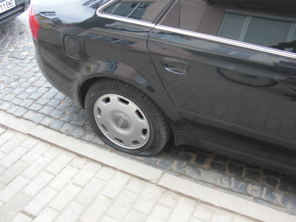 CIMG8932 dqxikeidqxiqqeant