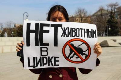 Украинцы предлагают президенту ввести почасовую оплату труда в размере 8 € Украинцы предлагают президенту ввести почасовую оплату труда в размере 8 €