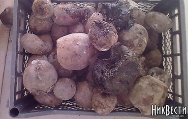 Даме - особняки, детям - гнилая морковка: история успеха Надежды Шуличенко - Copyright https://news.pn