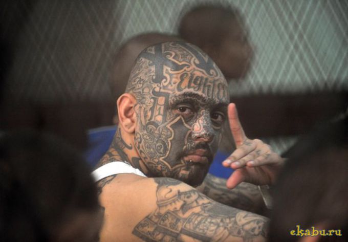 prestupn_watermark_5143b9cd7efa6e6b37307b2c_108_24_10_10_se_resize_keep_680_None