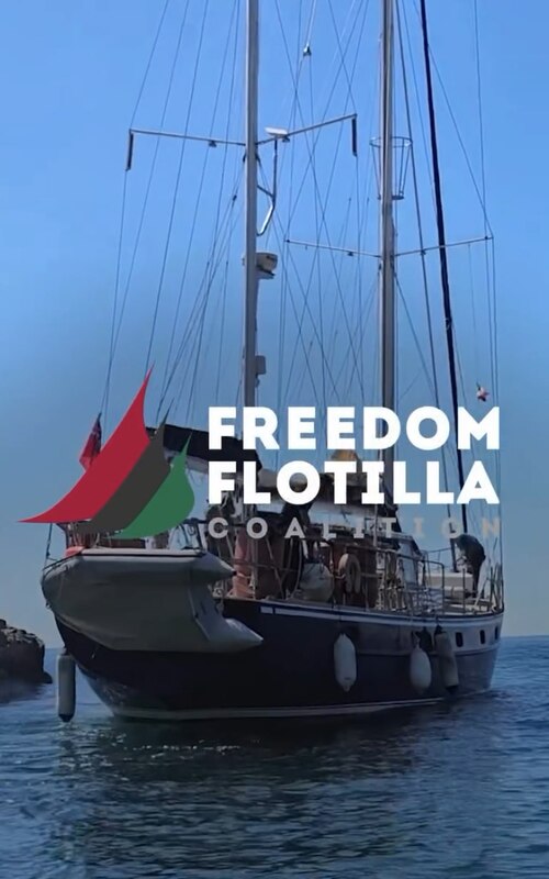 01.06.2025 -1 dqxikeidqxitkant