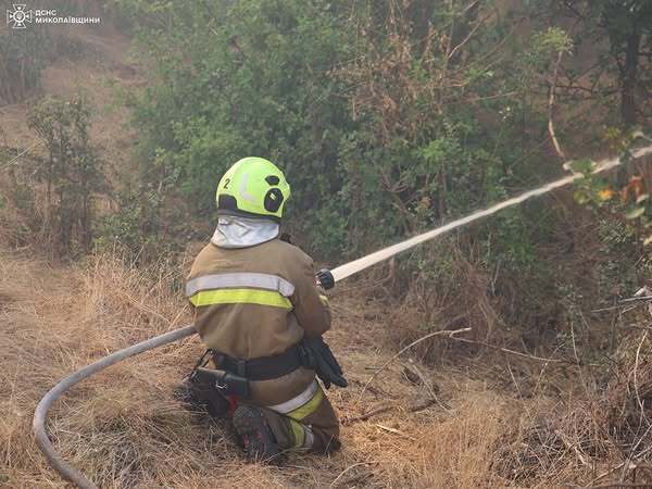 01.08.2025 - 1 dqxikeidqxitkant