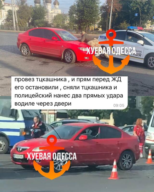 01.10.2024 -  dqxikeidqxitkant