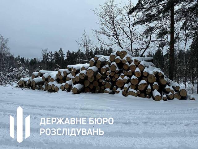 02.02.2025 -  dqxikeidqxitkant