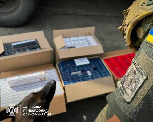 03.12.2024-  dqxikeidqxiqqeant