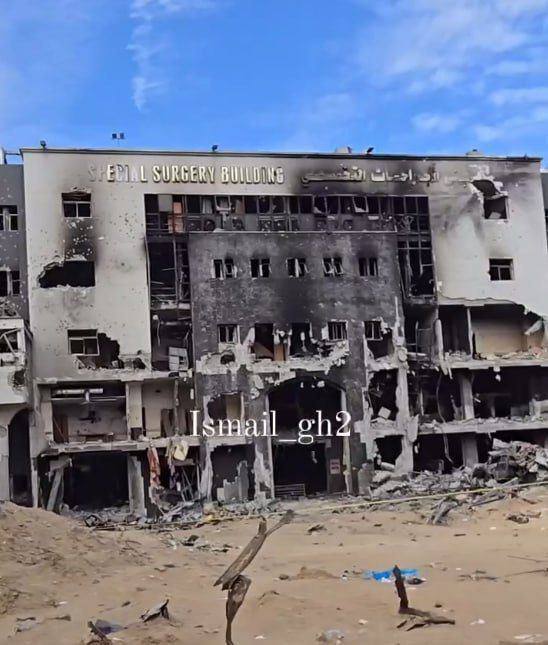 05.04.2024 -  dqxikeidqxidant