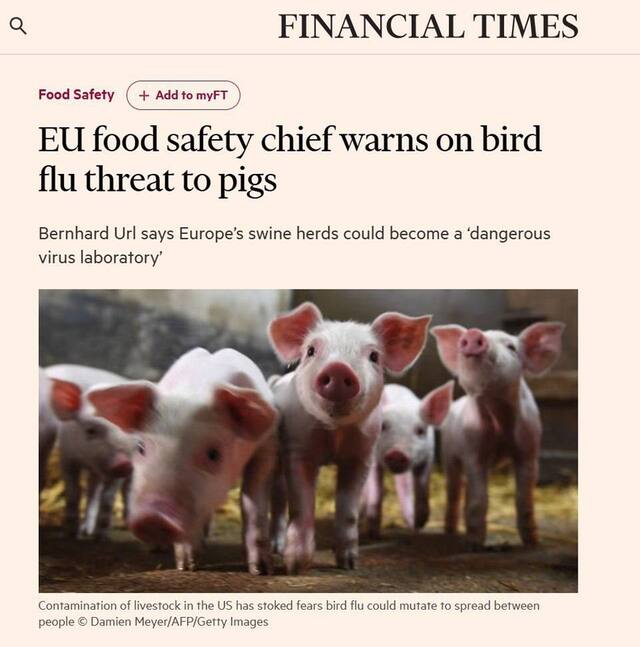 05.05.2025 -1  dqxikeidqxitkant