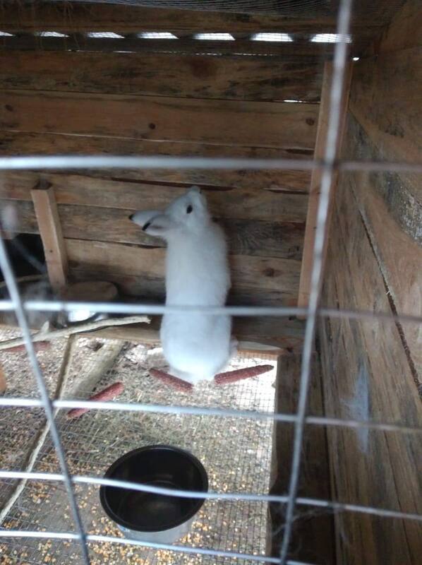 05.06.2023- dqxikeidqxitkant