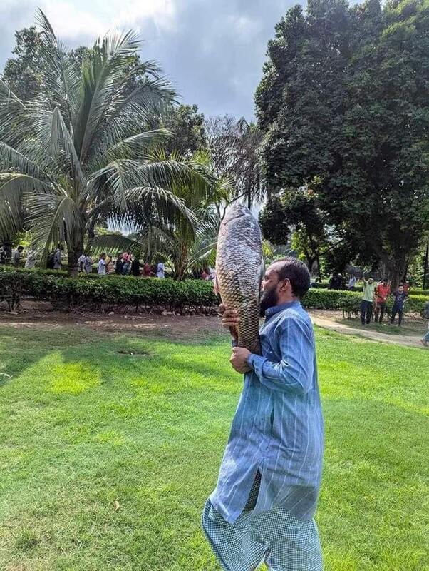 05.08.2024-  dqxikeidqxitkant