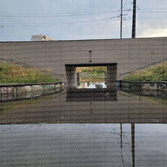 05.08.2025 - 12 dqxikeidqxiqqeant