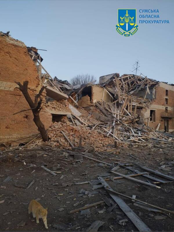 06.02.2025 -  dqxikeidqxiqqeant