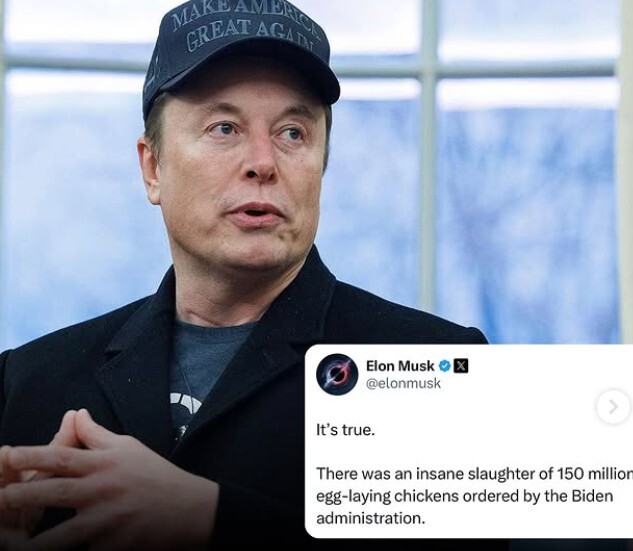 06.03.2025 -1  dqxikeidqxiqqeant