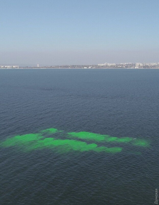 06.04.23 dqxikeidqxitkant