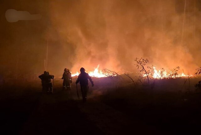 07.05.2024 -  dqxikeidqxitkant