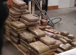 07.10.2022_1 dqxikeidqxitkant