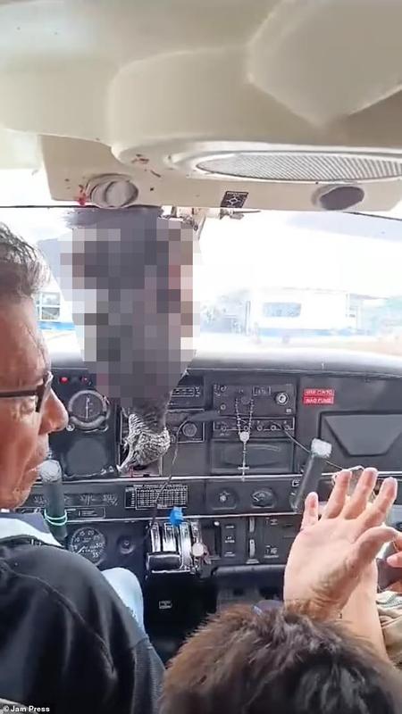 07.12.2024- dqxikeidqxitkant