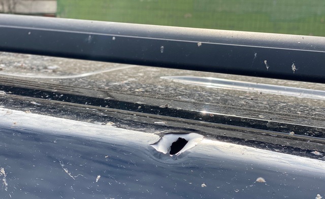 08.03.23 dqxikeidqxiqqeant