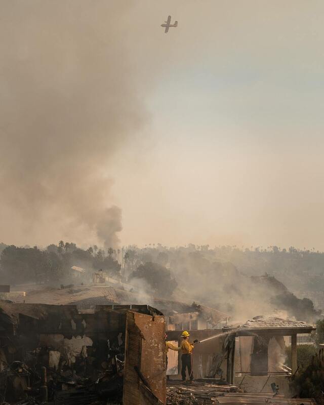 09.01.2025 -  dqxikeidqxitkant