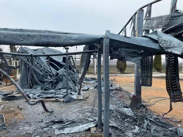 09.02.2025 -  dqxikeidqxitkant