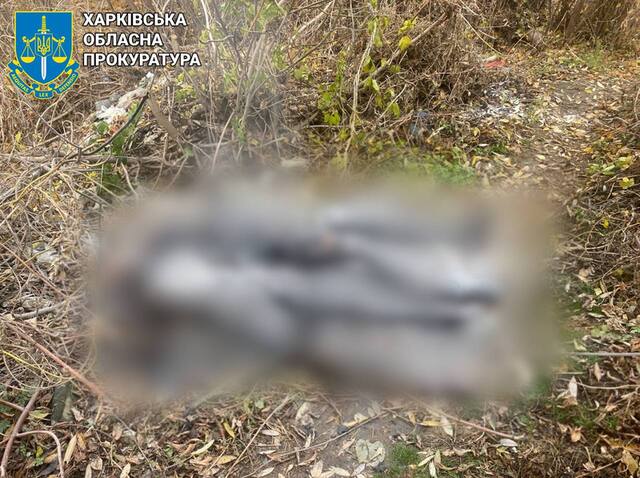 09.11.2024 -  dqxikeidqxiqqeant