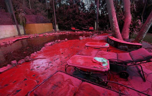 11.01.2025 -  dqxikeidqxitkant